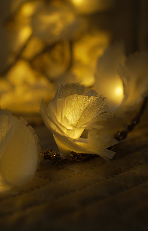 Fairylight