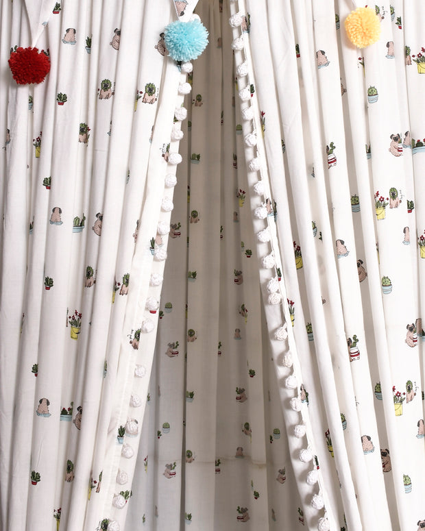 The Cacta-Cute Canopy