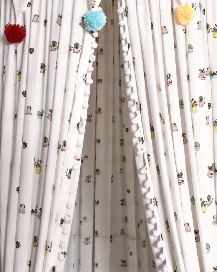 The Cacta-Cute Canopy